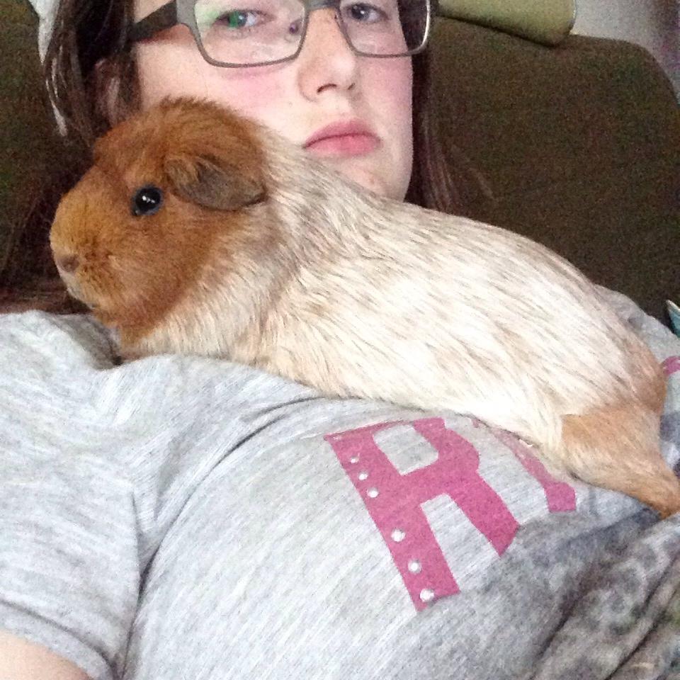 Marsvin Marley men har et andet navn på stamtavle :) billede 3