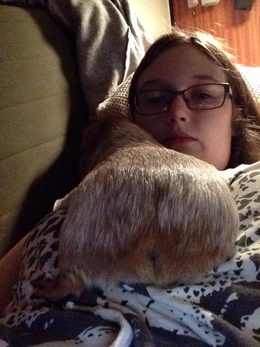 Marsvin Marley men har et andet navn på stamtavle :) billede 5