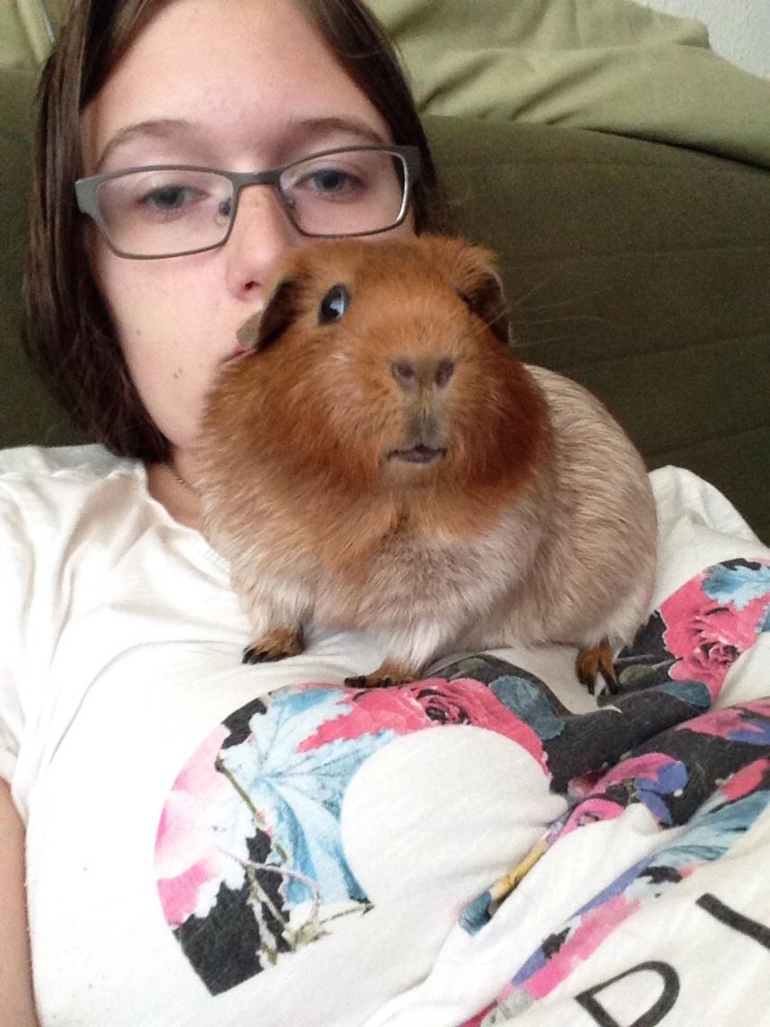 Marsvin Marley men har et andet navn på stamtavle :) billede 6