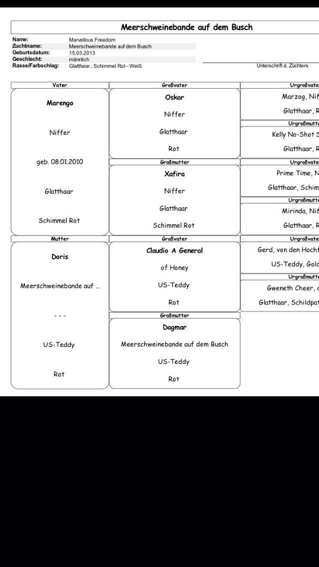 Marsvin Marley men har et andet navn på stamtavle :) billede 8