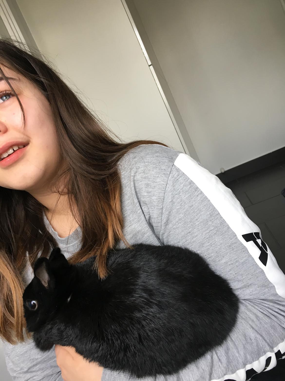 Kanin Tulle billede 6