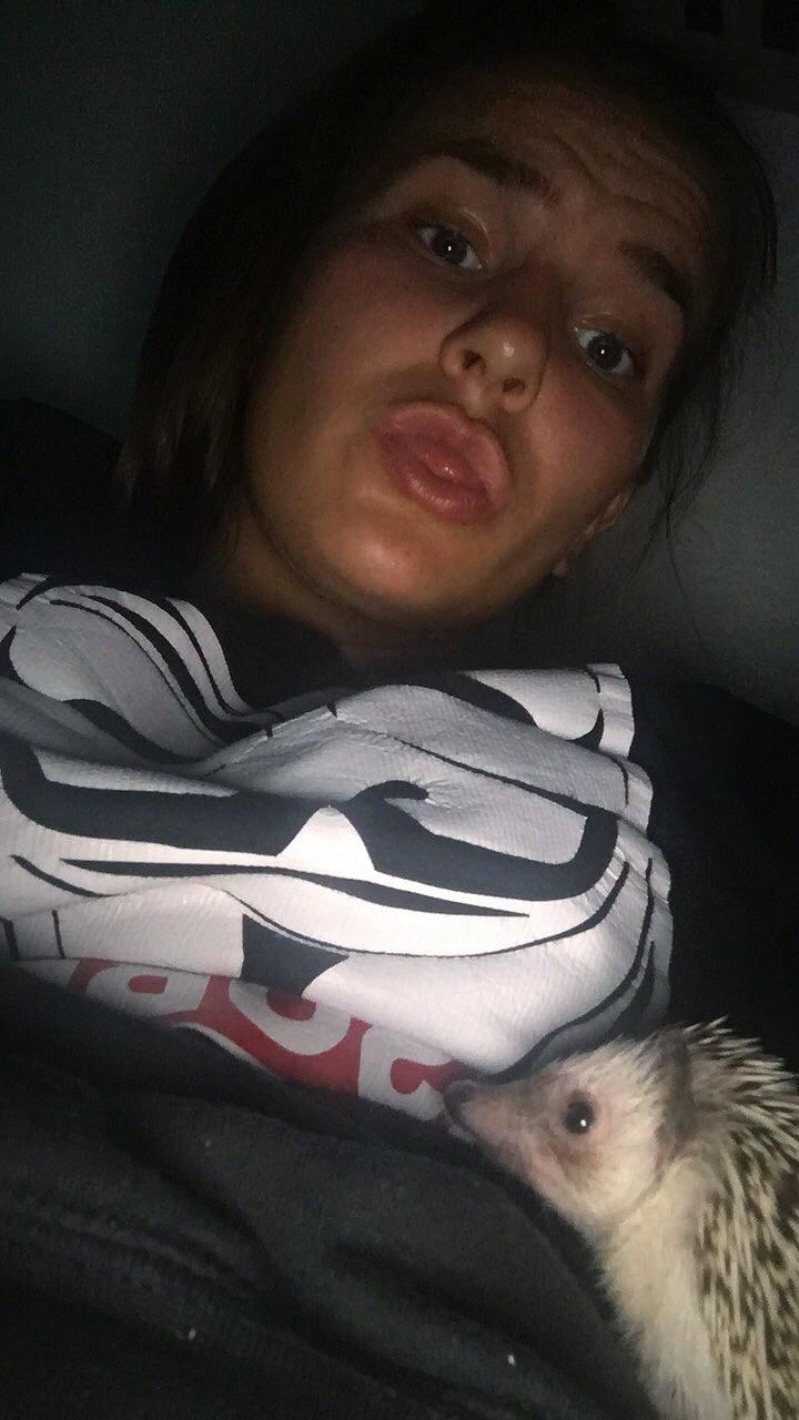 Pindsvin Rocco - Gået bort billede 6