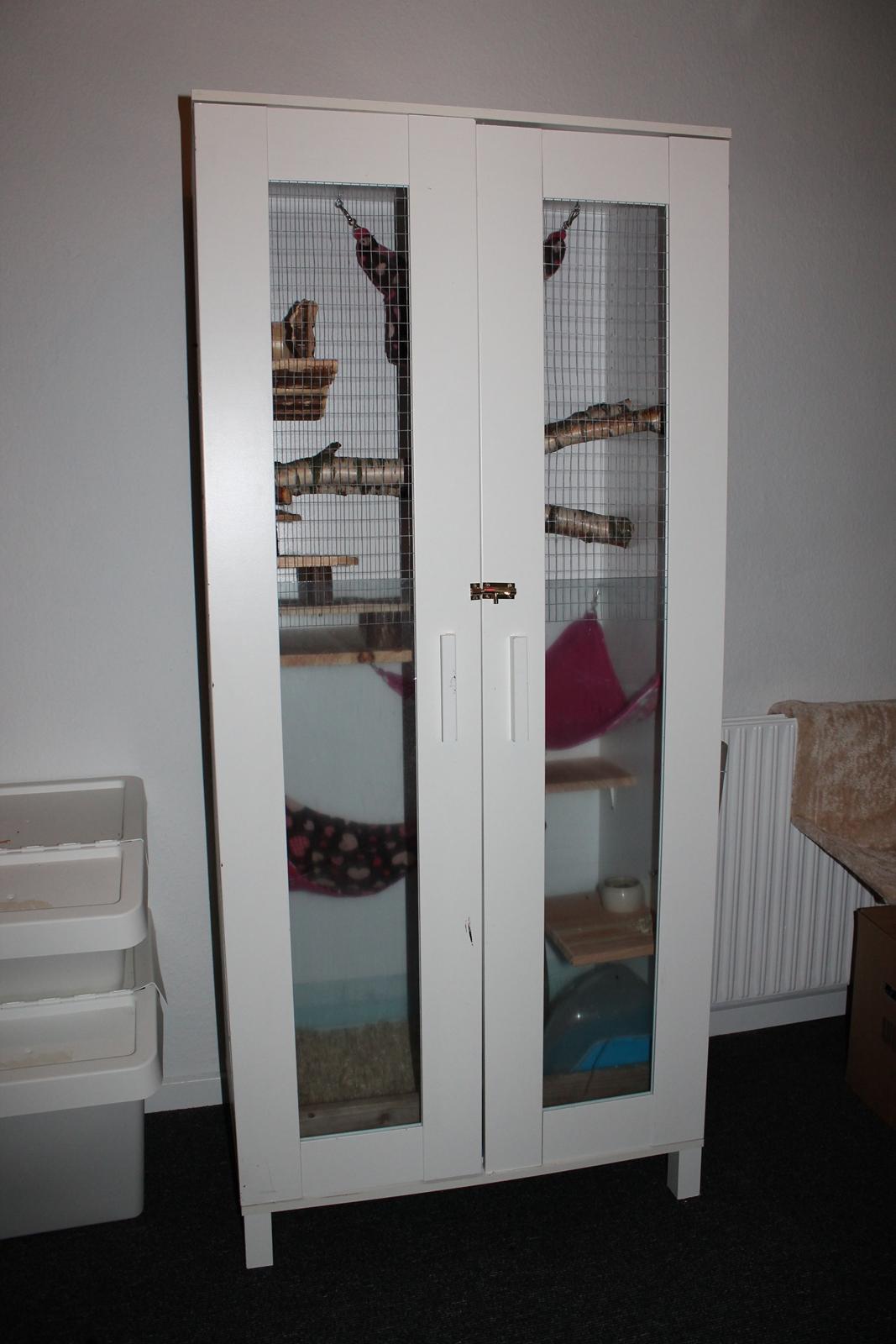 Chinchilla Chilla - 10/9-2016 billede 31