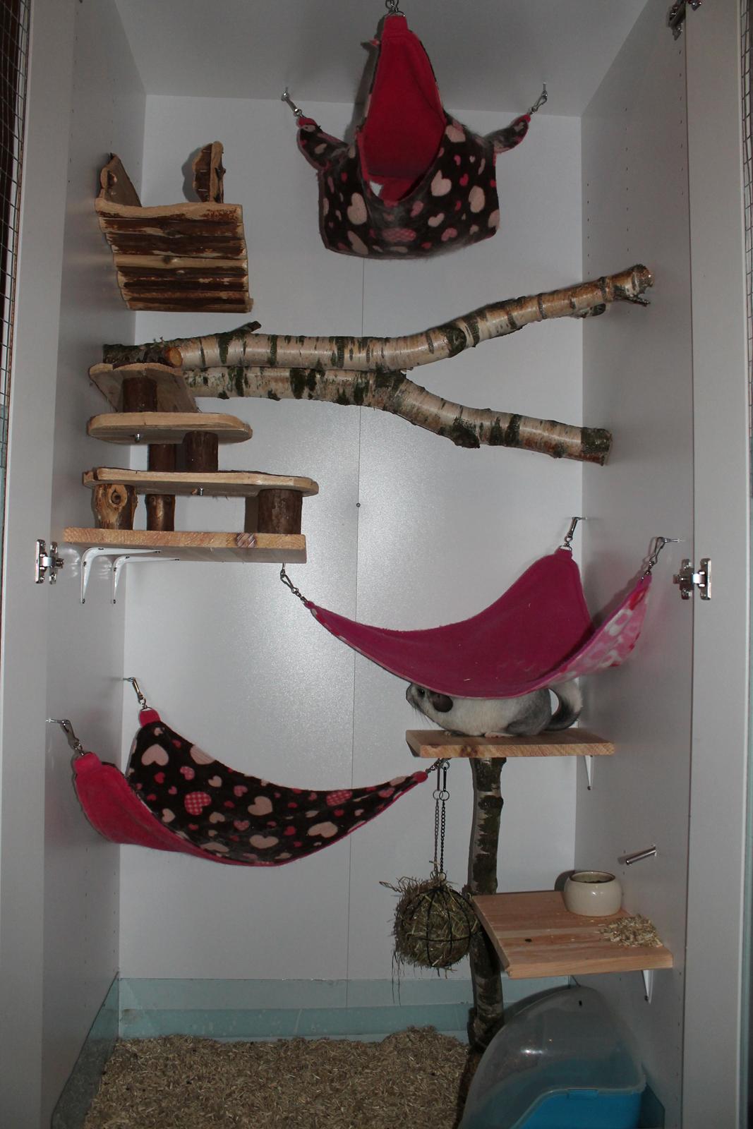 Chinchilla Chilla - 10/9-2016 billede 33