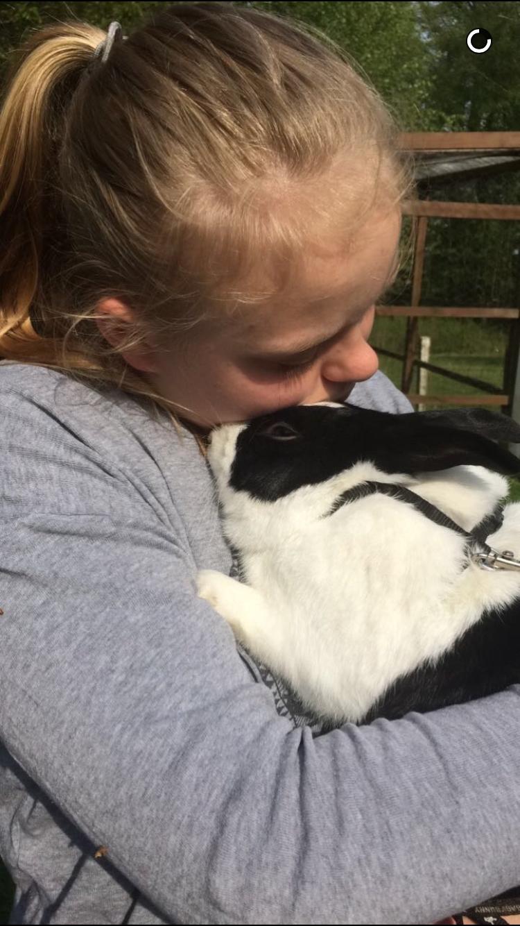 Kanin Mojoey billede 4