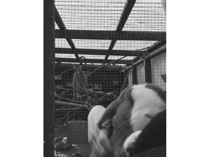 {{currentPhoto.altText}} billede {{currentPhoto.number}}