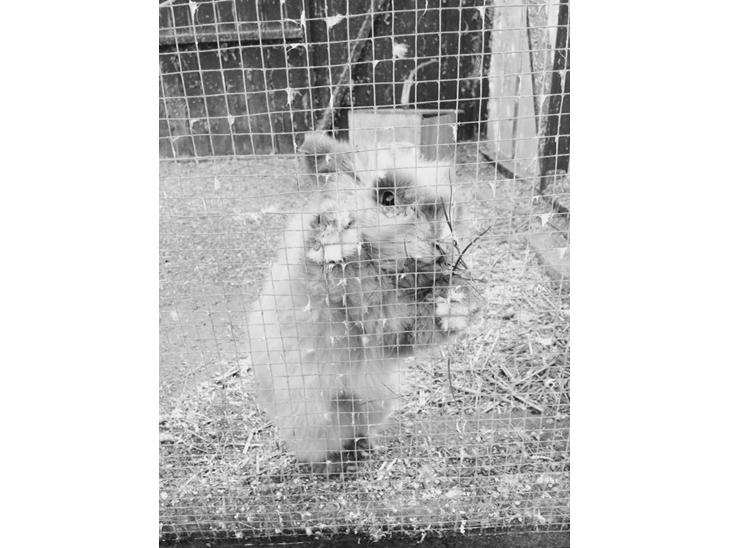 {{currentPhoto.altText}} billede {{currentPhoto.number}}