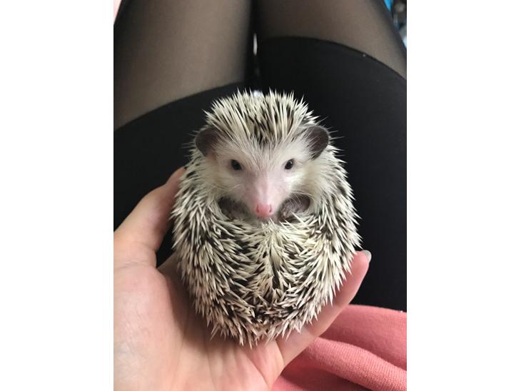 {{currentPhoto.altText}} billede {{currentPhoto.number}}