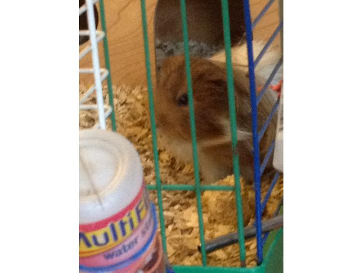 {{currentPhoto.altText}} billede {{currentPhoto.number}}