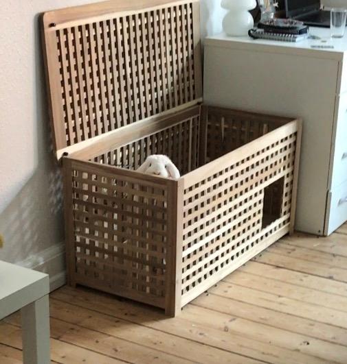 Kanin Milton billede 8