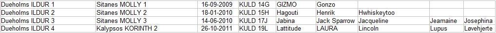 Marsvin Dueholms ILDUR billede 18