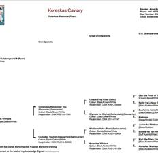 Marsvin Koreskas MADONNA