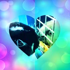 Kanin Prinsesse Mia Moore The Cadenca (Cadence)