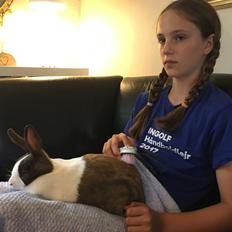 Kanin Starbo's Toffifee