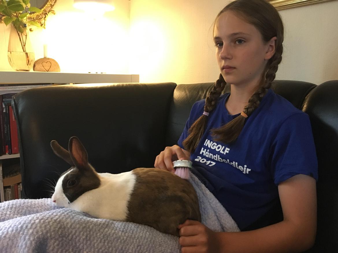 Kanin Starbo's Toffifee billede 1