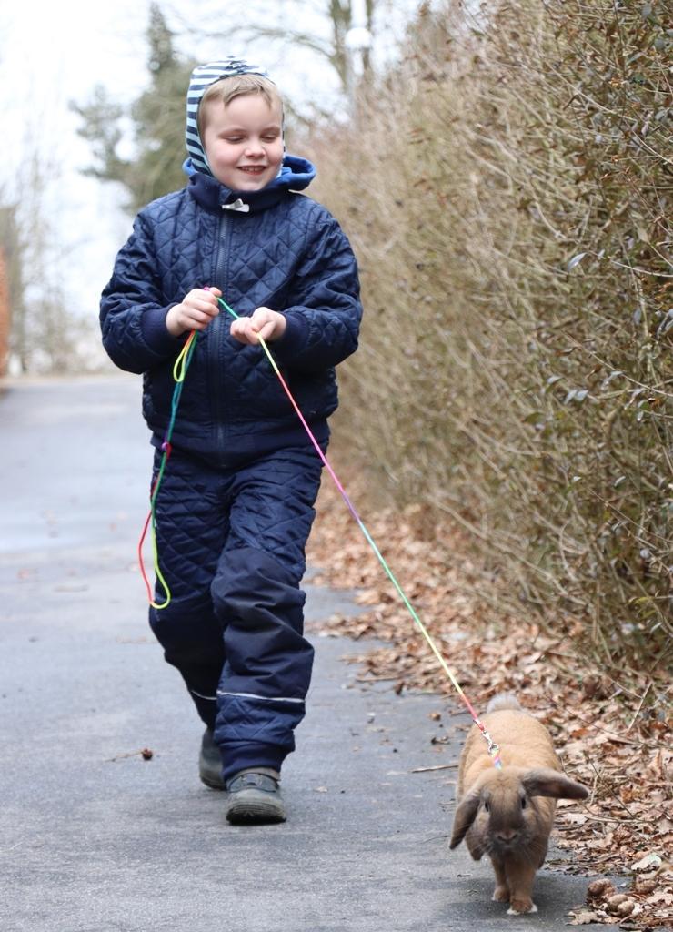Kanin Lego-Gårdens Pondus Hydrogenii billede 2