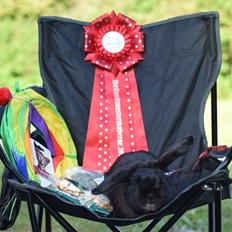 Kanin Pilens Kaikias