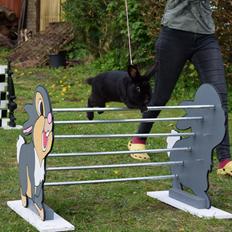 Kanin Pilens Kaikias