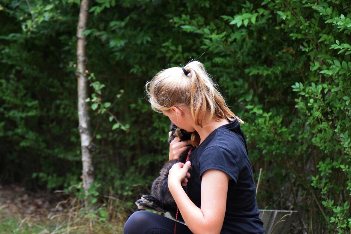 Kanin Pilens Kaikias billede 11