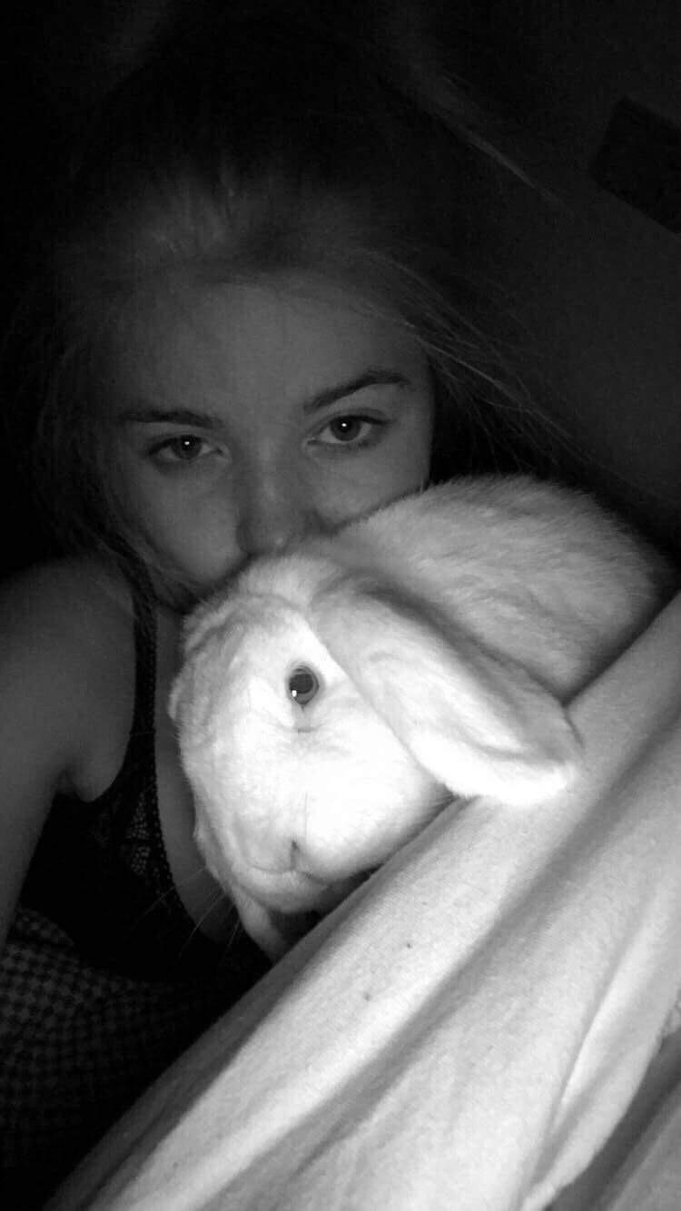 Kanin Milton billede 11