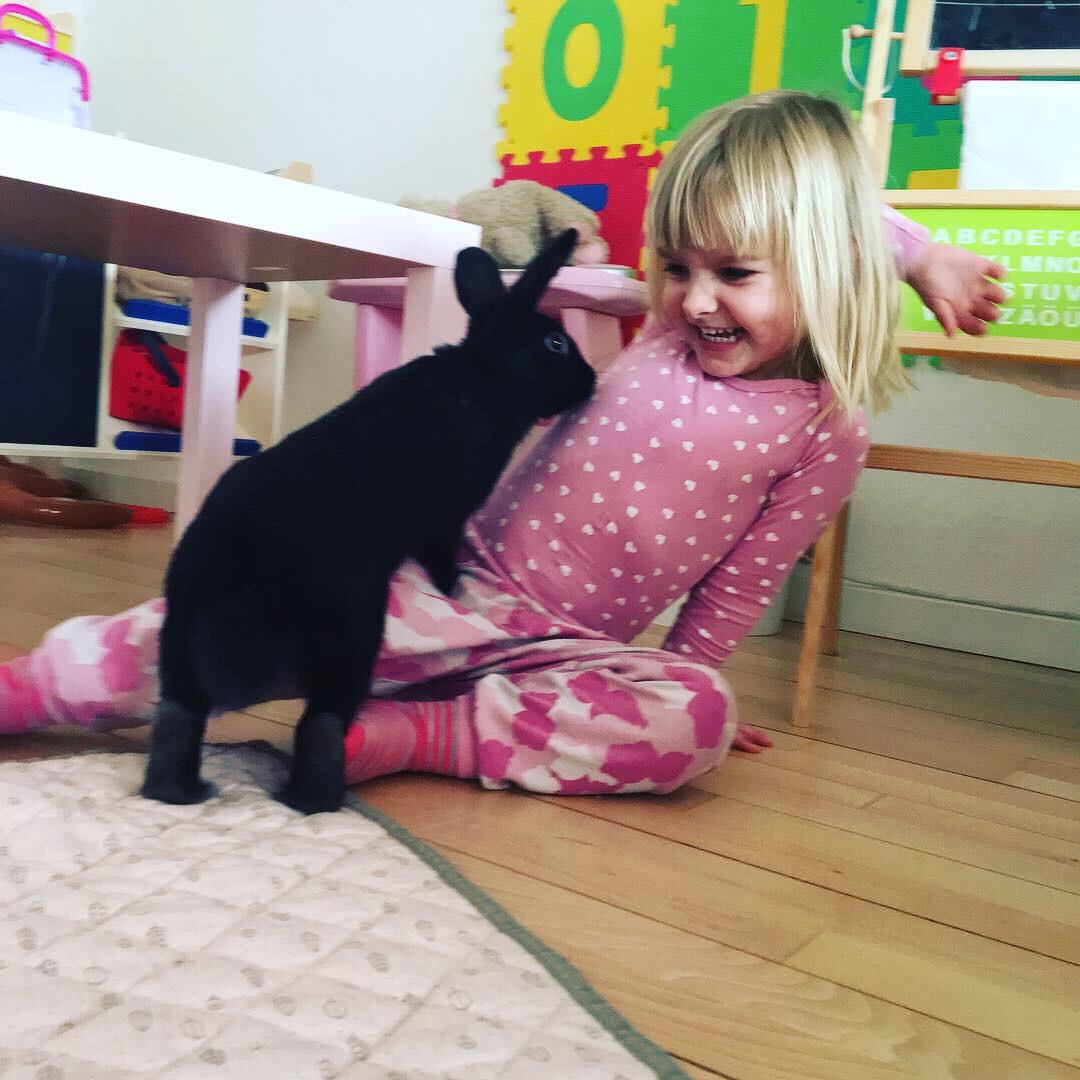 Kanin Prada billede 2