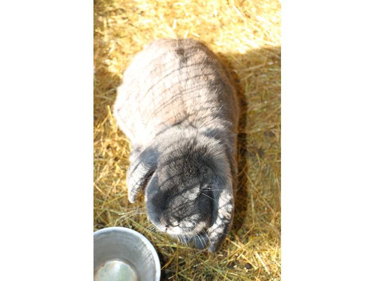 {{currentPhoto.altText}} billede {{currentPhoto.number}}