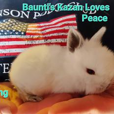 Kanin Baunti's Kazan Loves Peace