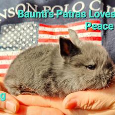 Kanin Baunti's Patras Loves Peace 