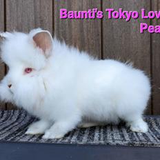 Kanin Baunti's Tokyo Loves Peace 