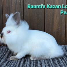 Kanin Baunti's Kazan Loves Peace 