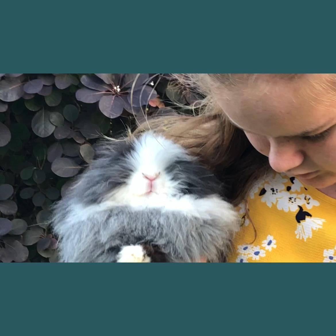 Kanin Movskis Amanda billede 1