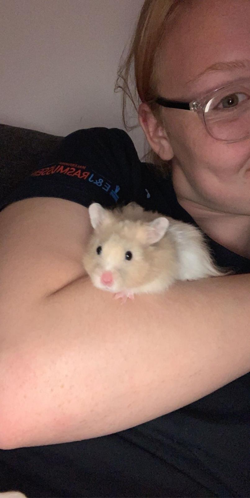 Hamster Milo Emil billede 1