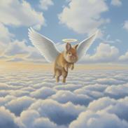 Kanin Svanemark's 7up Phuss Junior Af Tara