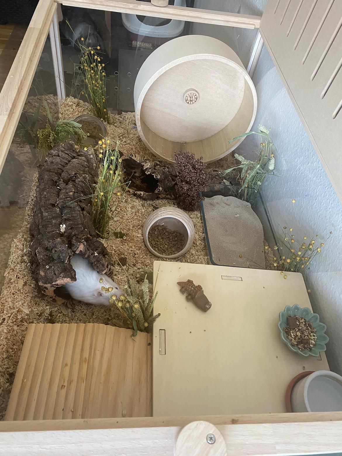 Hamster Sky *Himmelgnaver* billede 6