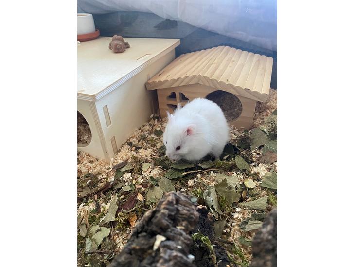 {{currentPhoto.altText}} billede {{currentPhoto.number}}