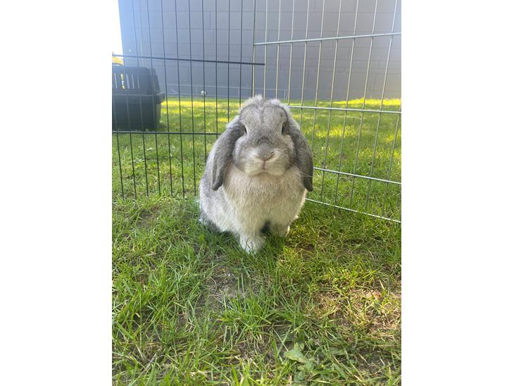 {{currentPhoto.altText}} billede {{currentPhoto.number}}