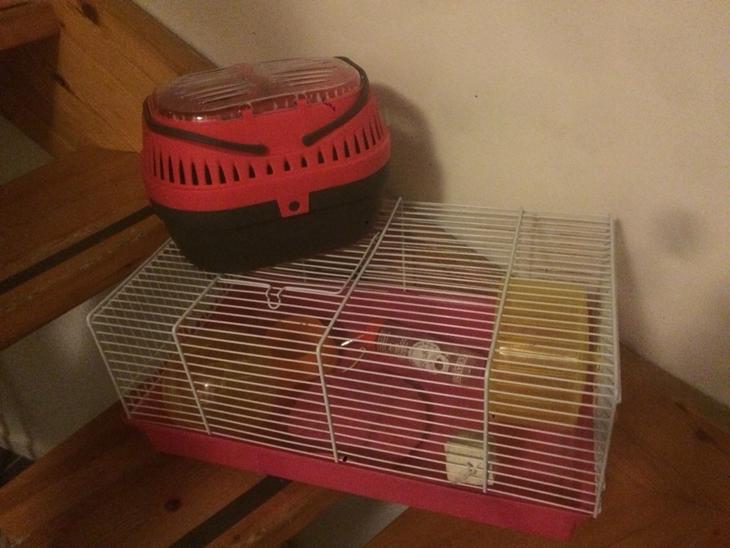 {{currentPhoto.altText}} billede {{currentPhoto.number}}