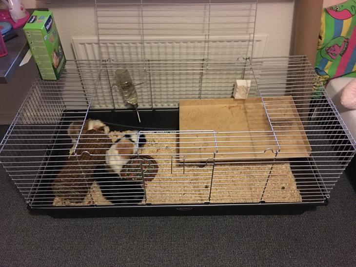 {{currentPhoto.altText}} billede {{currentPhoto.number}}