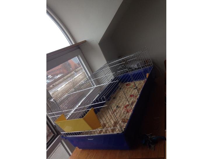 {{currentPhoto.altText}} billede {{currentPhoto.number}}