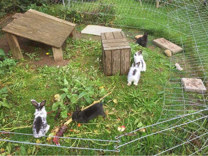 {{currentPhoto.altText}} billede {{currentPhoto.number}}