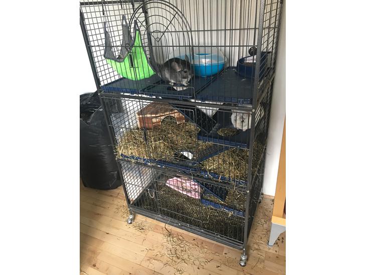 {{currentPhoto.altText}} billede {{currentPhoto.number}}