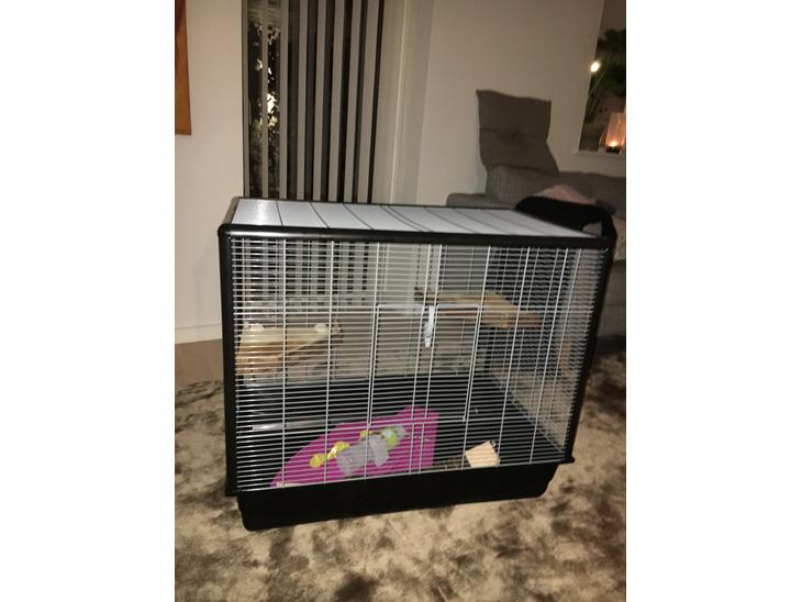 {{currentPhoto.altText}} billede {{currentPhoto.number}}