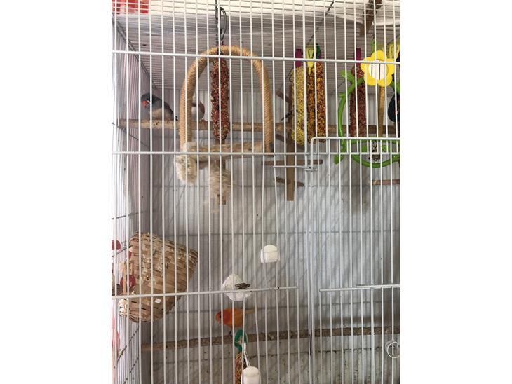 {{currentPhoto.altText}} billede {{currentPhoto.number}}