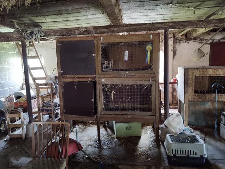 {{currentPhoto.altText}} billede {{currentPhoto.number}}