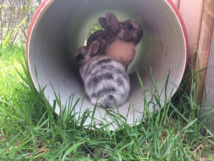 {{currentPhoto.altText}} billede {{currentPhoto.number}}