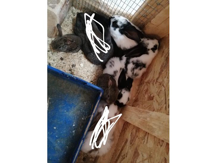 {{currentPhoto.altText}} billede {{currentPhoto.number}}