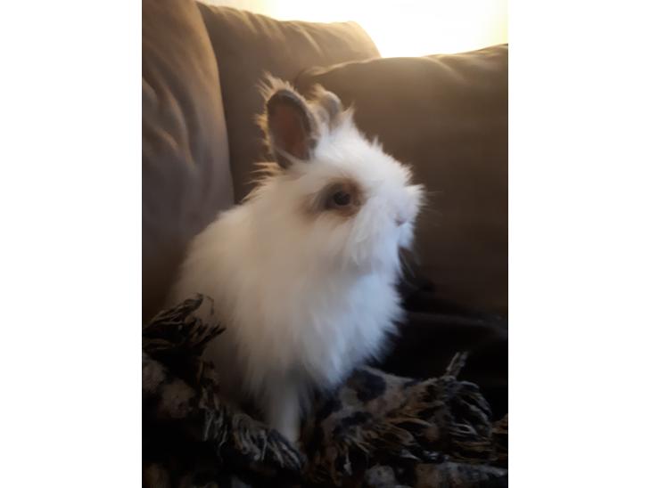 {{currentPhoto.altText}} billede {{currentPhoto.number}}