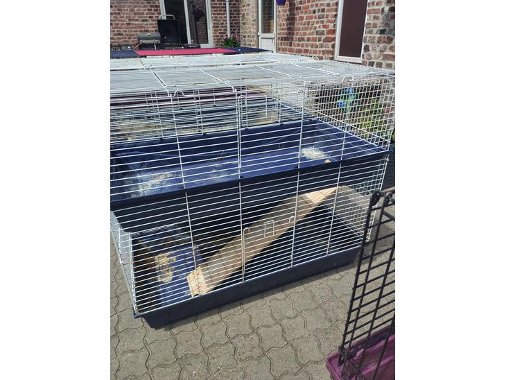 {{currentPhoto.altText}} billede {{currentPhoto.number}}