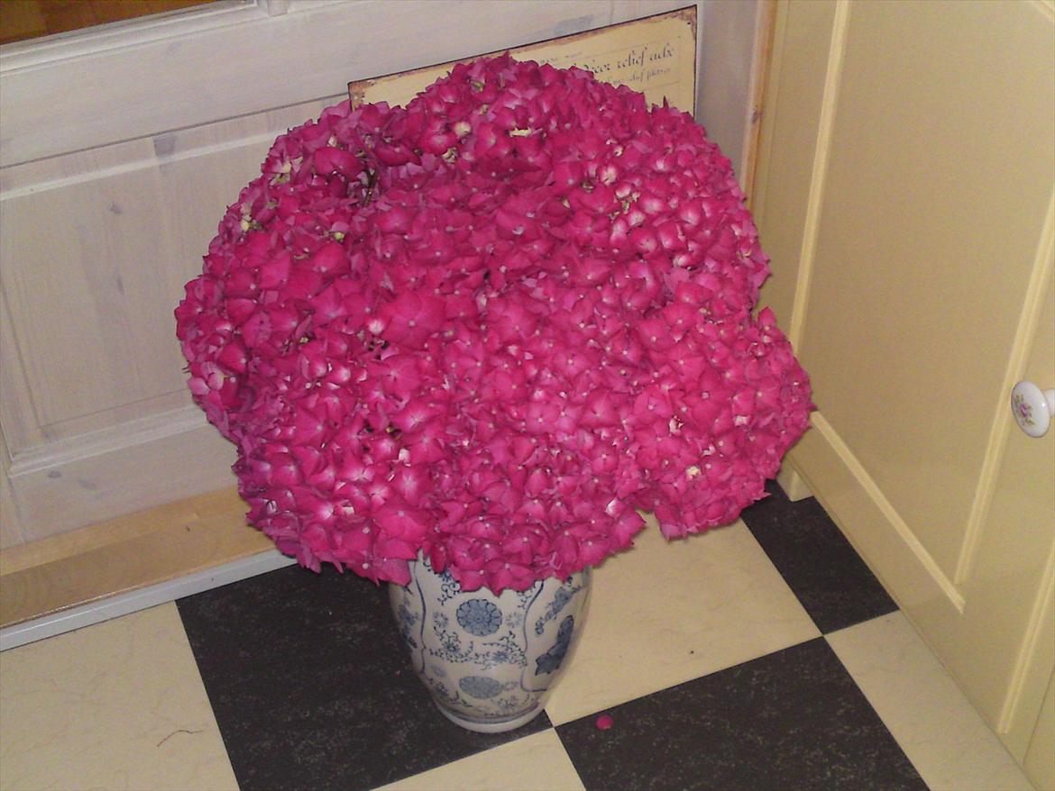 Blomster buketter fra egen have. - Hortenzia. billede 7