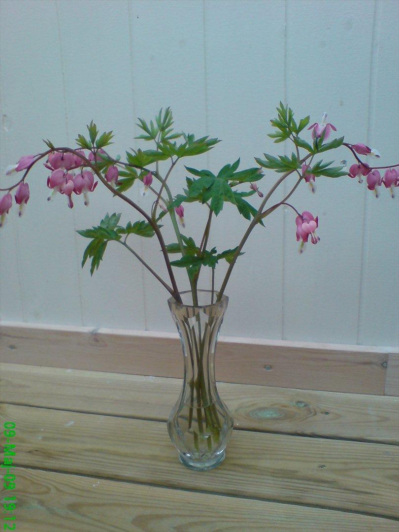 Blomster buketter fra egen have. - Løjtnanshjerte. billede 8